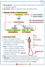 11th-12th Biology Short Notes 2026 [Pdf]